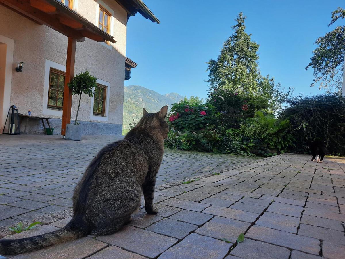 Berghof Reiter Ξενοδοχείο Weissbriach Εξωτερικό φωτογραφία